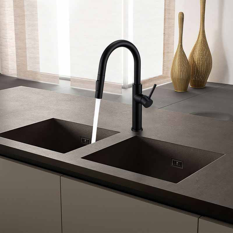 Robinet de cuisine à poignée simple Rex High Arc, sans plomb, noir mat, Noir mat