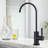 Cheetah Sourcing Kitchen Faucet-59788193-86385042