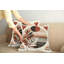 Ensemble de 2 housses de coussin Ambesonne Monstera-99019909-99019910