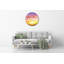 Julaine Glass Wall Clock