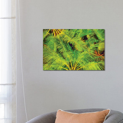 Dancing Palm Fronds by Mark Paulda - Print on Canvas