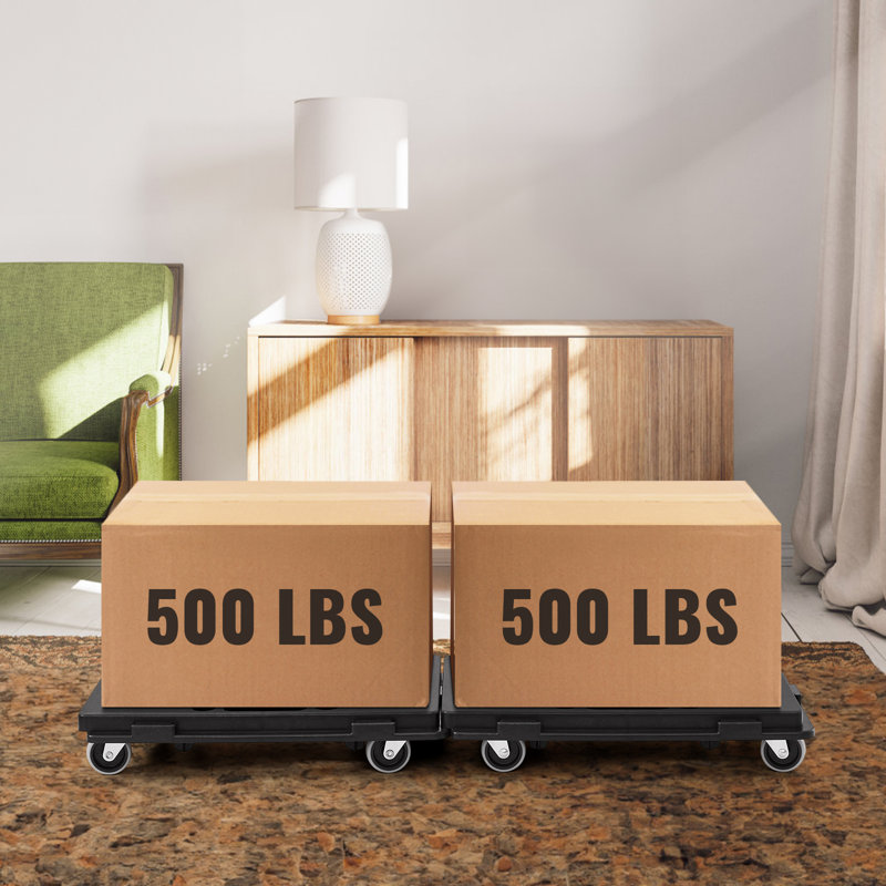 500 lb Capacité