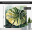 Murale botanique pelez et collez - Feuille de Monstara tropical-779469139