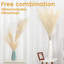 Arrangement de pampas-824461008