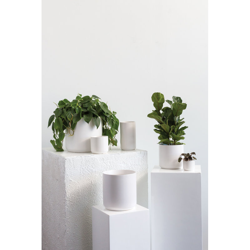 Parsons Handmade Ceramic Pot Planter, 11.75" H x 12" W x 12" D, White
