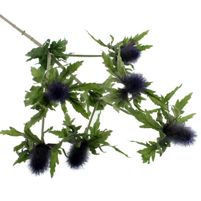 Eryngium Arrangement