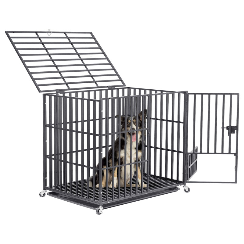 Cage pour chien 38 po en métal robuste avec plateau et roulettes Anti-Chew, H 32 po x l 38 po x P 22,5 po