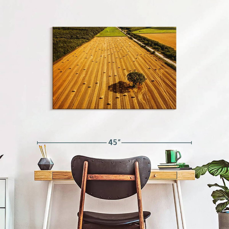 Alvord Hay Bales Fields, H 24 po x l 36 po
