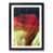 Black Framed selected