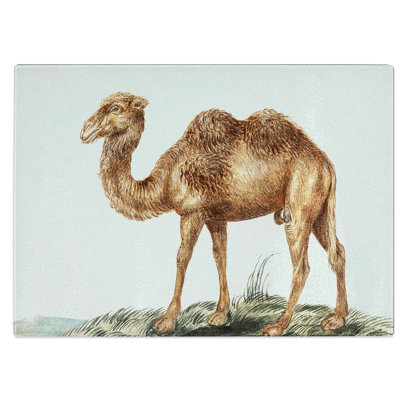 Tempered Glass Camel Chopping Board