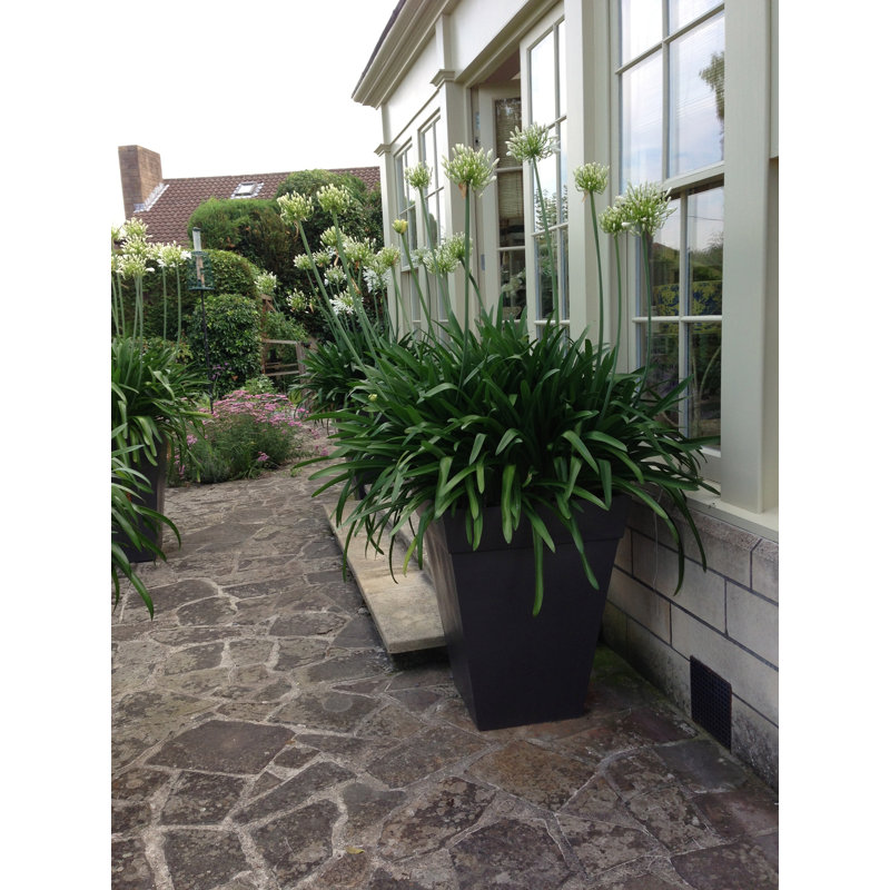 Baker Handmade Pot Planter, Small, Faux Lead