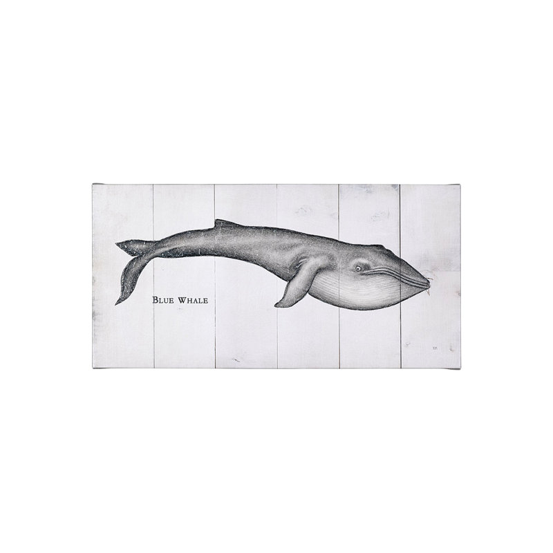 Blue Whale a Hand Embelished Textured Canvas, 20" H x 40" W x 1.5" D