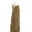 Grand feuillage naturel Cole and Grey Leaf