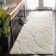 Ashal Abstract Cream Area Rug