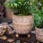 Saihan Pot Planter-1978755168