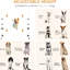 Ensemble de démarrage pour chien avec 4 sauts de barre, hauteur réglable pour diverses capacités, fond fixe pour toutes les surfaces, matériau blanc, sac de transport inclus, dimensions de 39 po x 25,5 po et 37 po