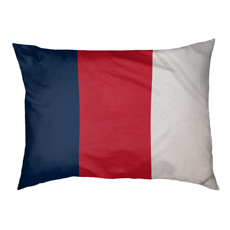 Coussin pour chien hockey Las Vegas, Moyen (H 14 po x l 40 po x P 30 po), Bleu / Rouge / Blanc