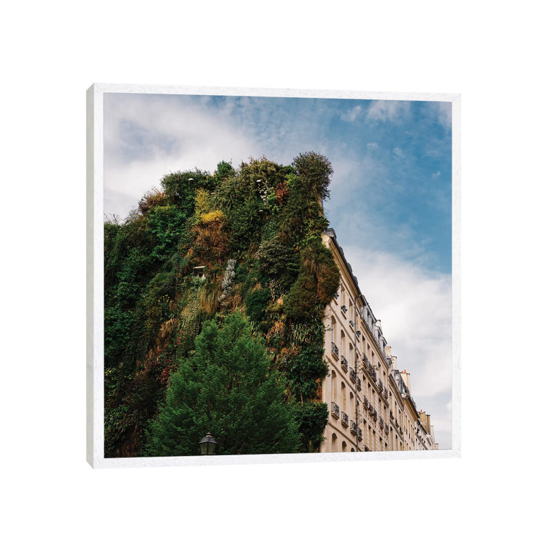Parisian Vertical Garden II 1 Piece Wall Art on Canvas, 93.98cm H x 93.98cm W x 3.81cm D, White Framed