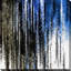 Romans 8: 1 I Belong to You - peinture sur toile à cadre flottant-1658993799-1658993912