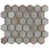 Dove Gray