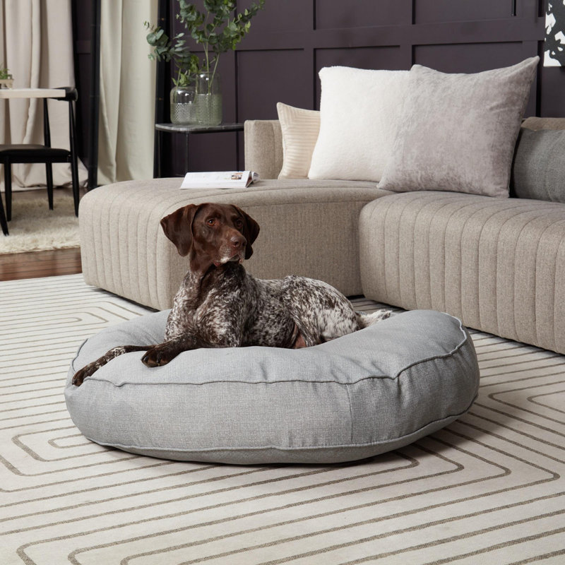 Lit-coussin pour chien Gordie, Très grand (l 42 po x P 42 po x H 6 po), Gris