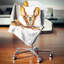 Drôle de basset de chien brun - coussin imprimé animal-29515901-29515897
