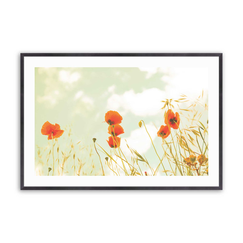 «Douce coquelicot», Zinc patiné, H 12,25 po x l 15,25 po