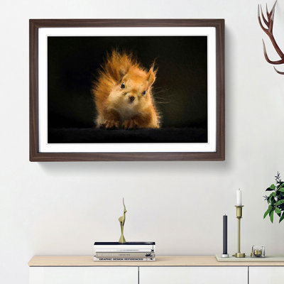 Red Squirrel - Framed Print