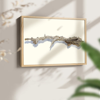 Driftwood Study I -Framed Print - Restickable