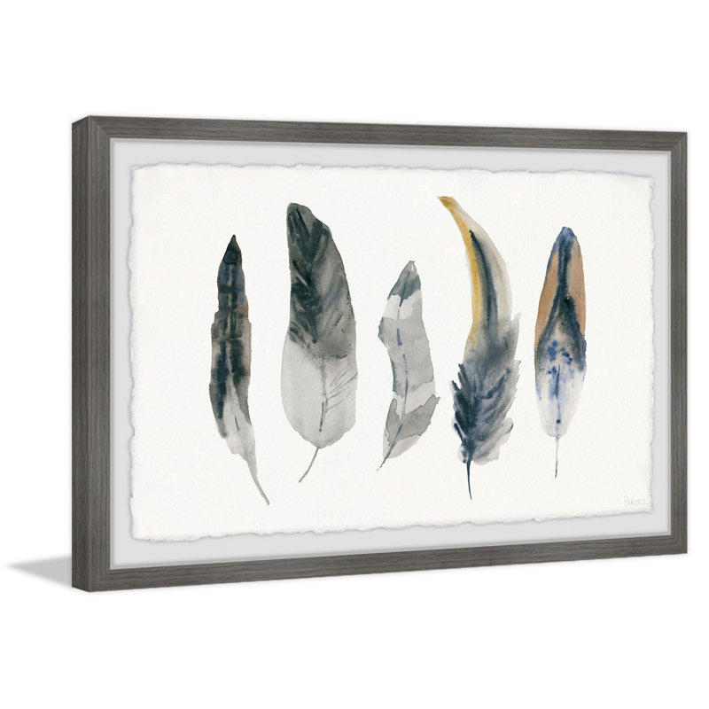 Shaded Feathers by Parvez Taj - Single Picture Frame Painting, 41 cm H x 61 cm W