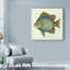 « papillon fish ii », reproduction d’impression sur toile tendue-33416481