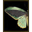 Gilded Wing 1 Print