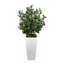 Olive Tree Artificial in Fiberstone Planter
