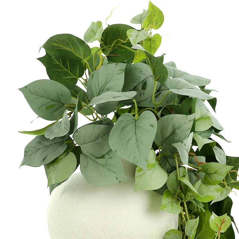 Ringold Faux Ivy Plant in Ceramic Vase