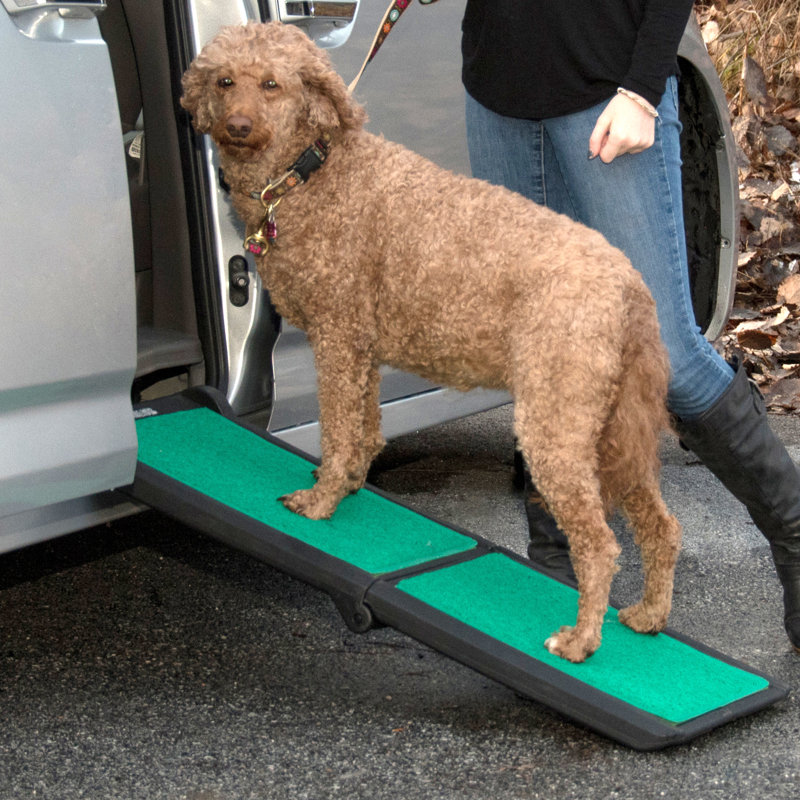 Portable Black and Green Bi-Fold Pet Ramp with Supertrax