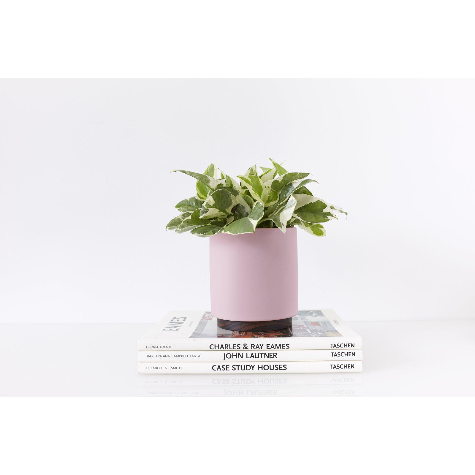 Byer Handmade Ceramic Pot Planter, Blush