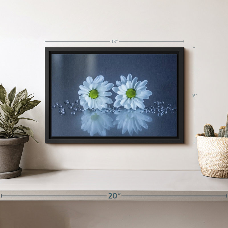Impression sur toile de marguerites blanches, H 9 po x l 13 po