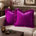 Fuschia