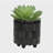 S/2 6/8" Textured Planters, Shiny Black-1337675862