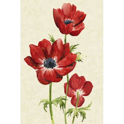 Heemoom Anemones II