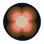 Hand Tufted Wool Area Rug in Black/Pink/Brown