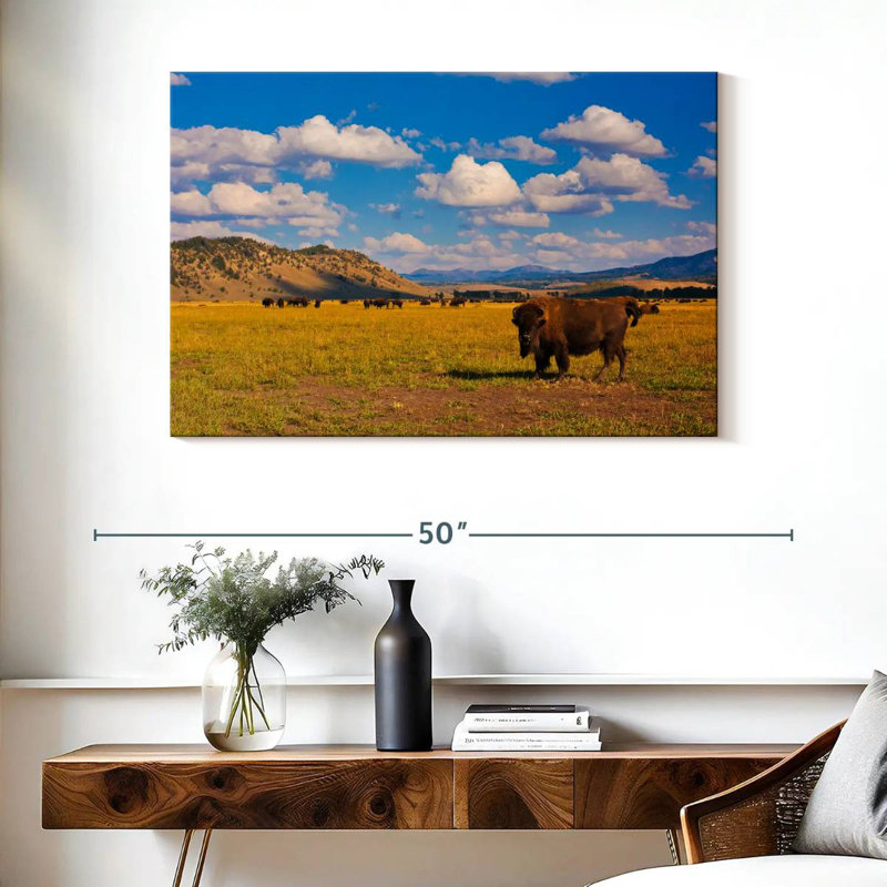 Bison dans le parc national, H 26 po x l 39 po