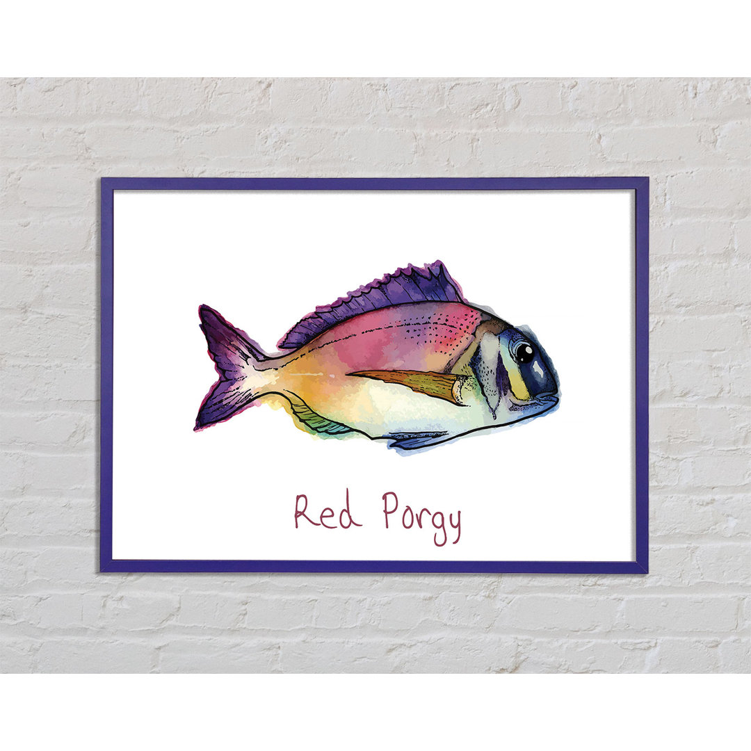 Red Porgy Rainbow Gerahmter Druck Wandkunst