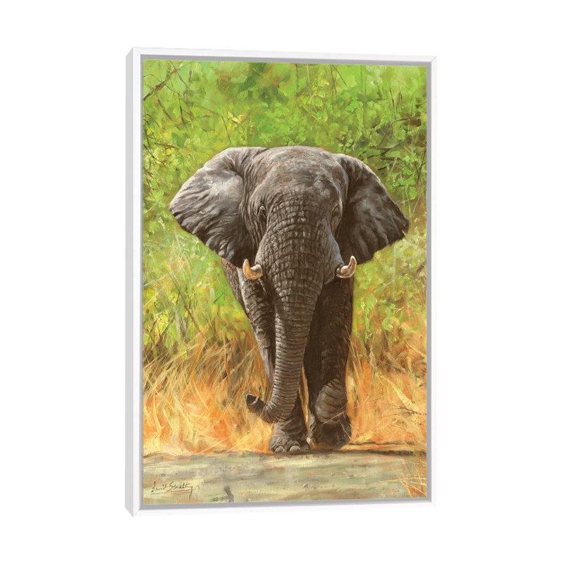 African Elephant Staredown - Print on Canvas, 66.04 cm H x 45.72 cm W, White Framed
