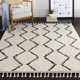 Mossy Moroccan Charcoal/Light Beige Area Rug