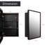 Miroir pour armoire à pharmacie Mccullers-87126674