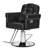 Polar Aurora Recliner Barber Chair with Removable Headrest,Adjustable Height 360 Degrees Swivel