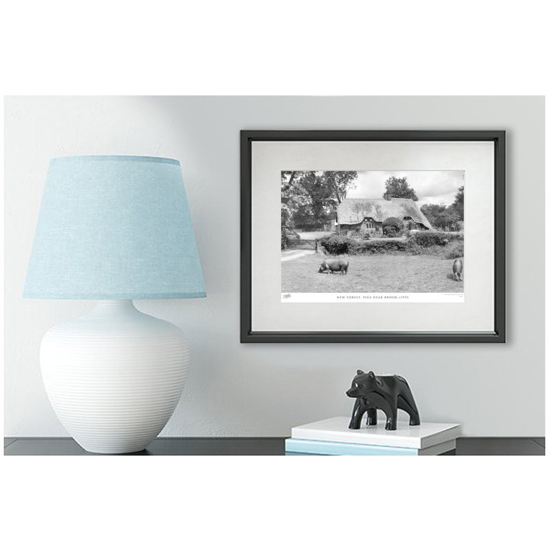 New Forest, Pigs Near Brook C1955 by Francis Frith - Single Picture Frame Print, 28cm H x 36cm W x 2.3cm D