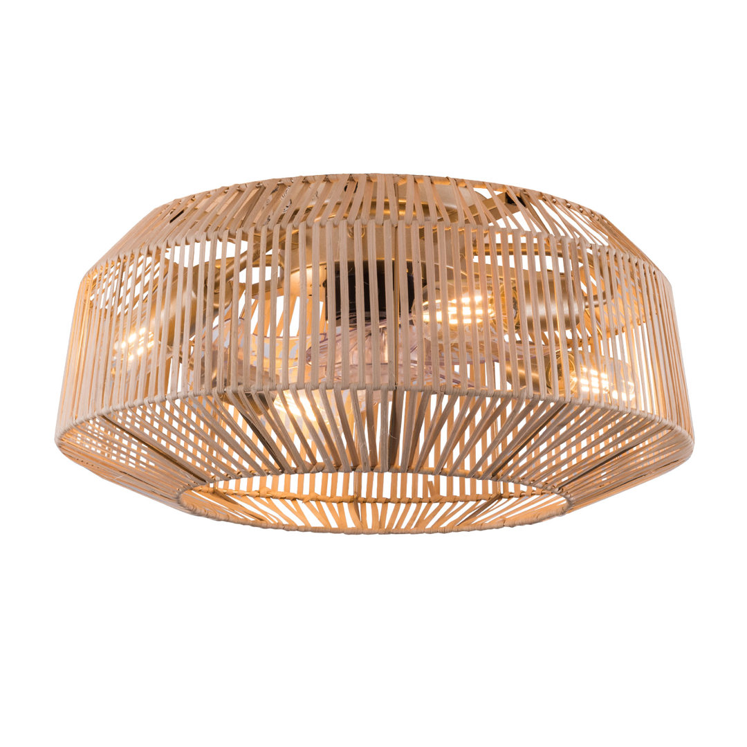 Pottsboro 18.9" Modern Rattan Caged Flush Mount Ceiling Fans with Remote Control Bay Isle Home™