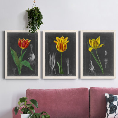 «Midnight Tulip IV», ensemble de 3 peintures sur toile encadrées